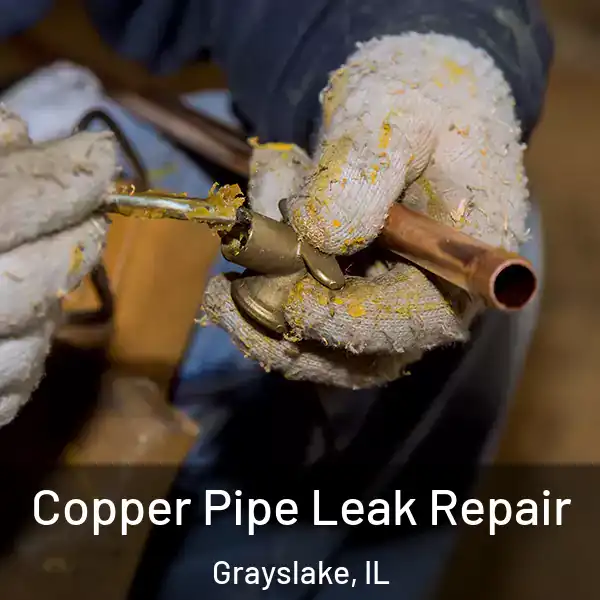  Copper Pipe Leak Repair Grayslake, IL