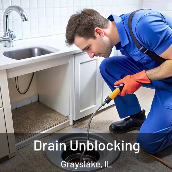  Drain Unblocking Grayslake, IL