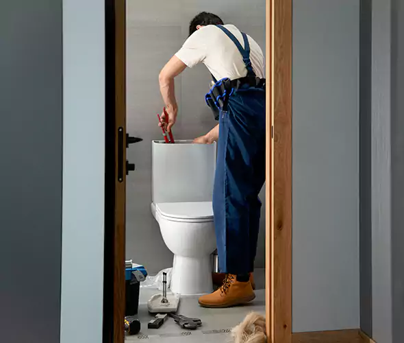 Professional Plumbers for Toilet Bowl Replacement in Grayslake, IL: Schedule Affordable Toilet Replacement Services With Us