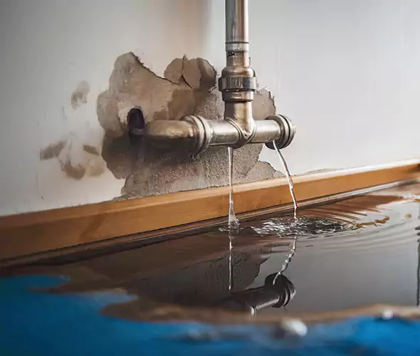 Professional Water Damage Restoration Experts in Grayslake, IL — Fast, Reliable & Certified
