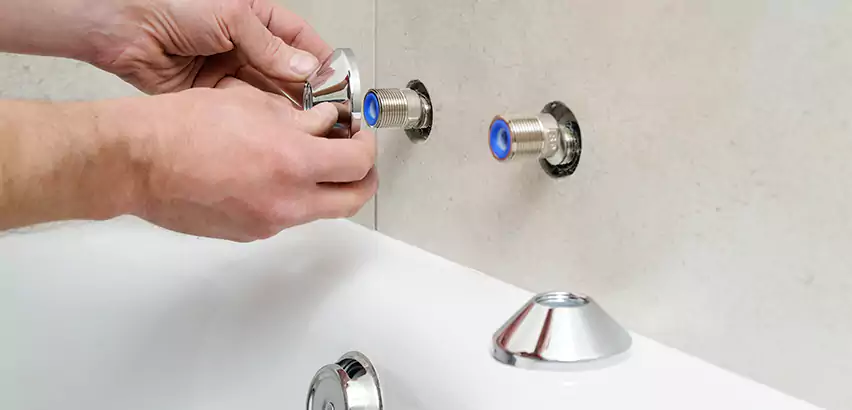 Bathtub Faucet Diverter Replacement in Grayslake