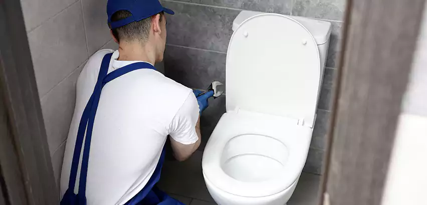 Toilet Lid Replacement in Grayslake