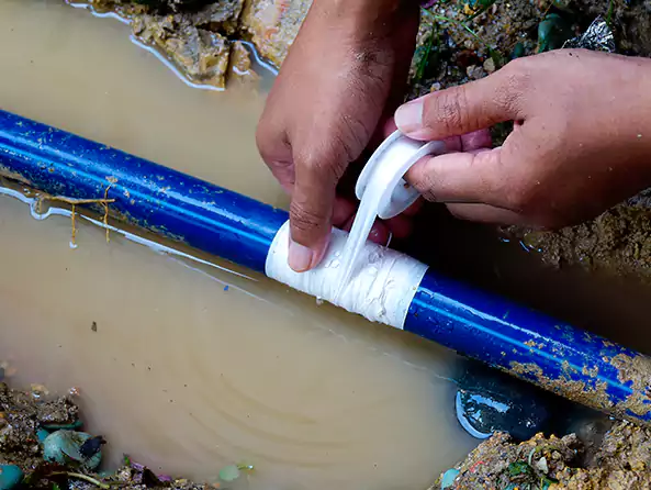  Why Choose Grayslake Plumbing for Leak Detection in Grayslake, IL?]