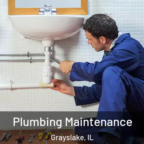  Plumbing Maintenance Grayslake, IL
