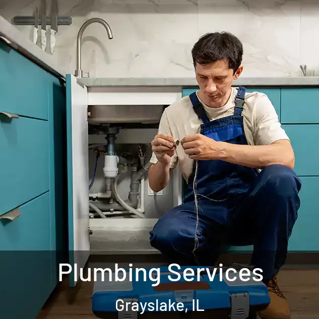  Plumbing Services Grayslake, IL