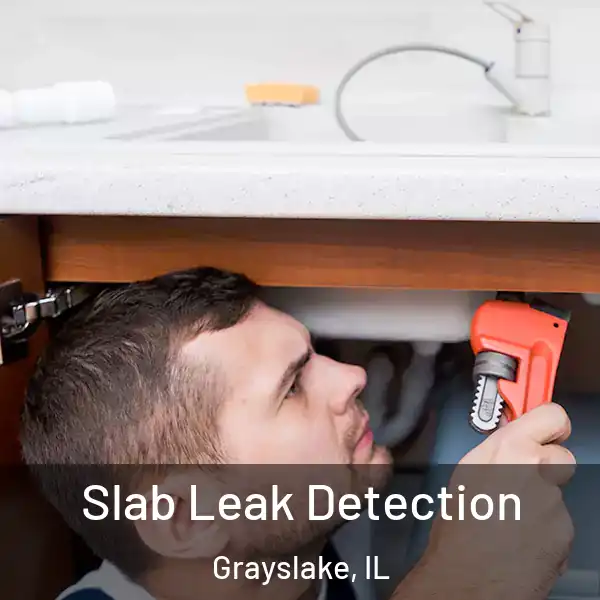  Slab Leak Detection Grayslake, IL