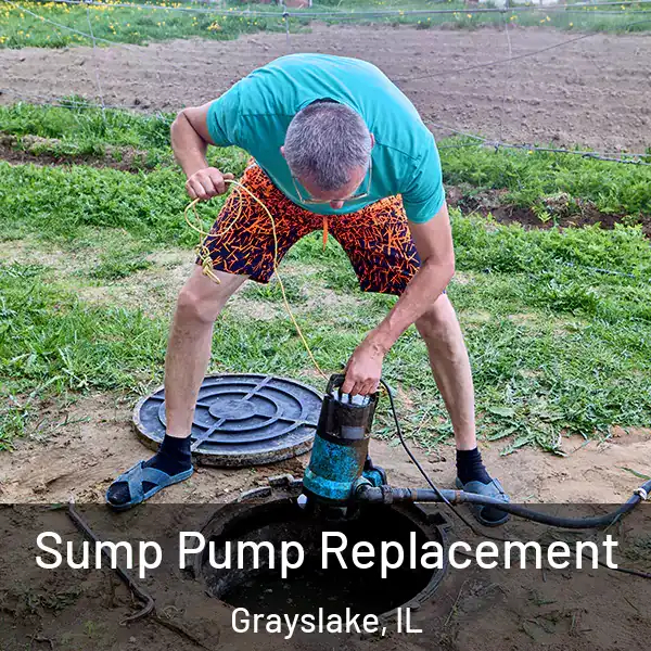  Sump Pump Replacement Grayslake, IL