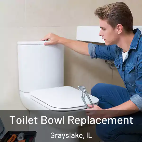  Toilet Bowl Replacement Grayslake, IL