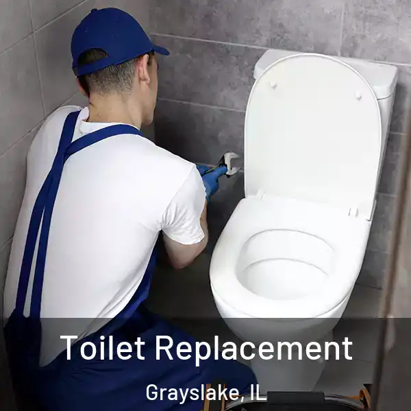  Toilet Replacement Grayslake, IL