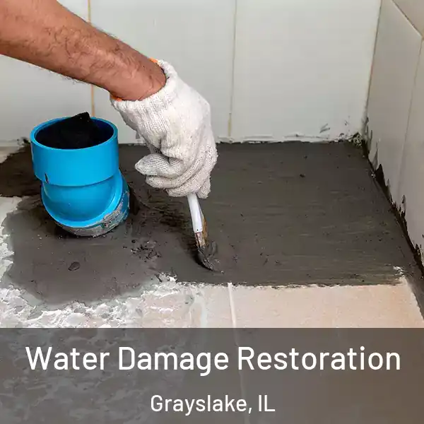  Water Damage Restoration Grayslake, IL