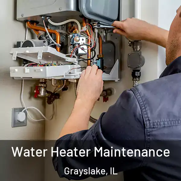 Water Heater Maintenance Grayslake, IL