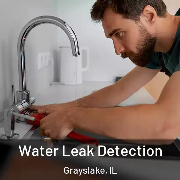  Water Leak Detection Grayslake, IL